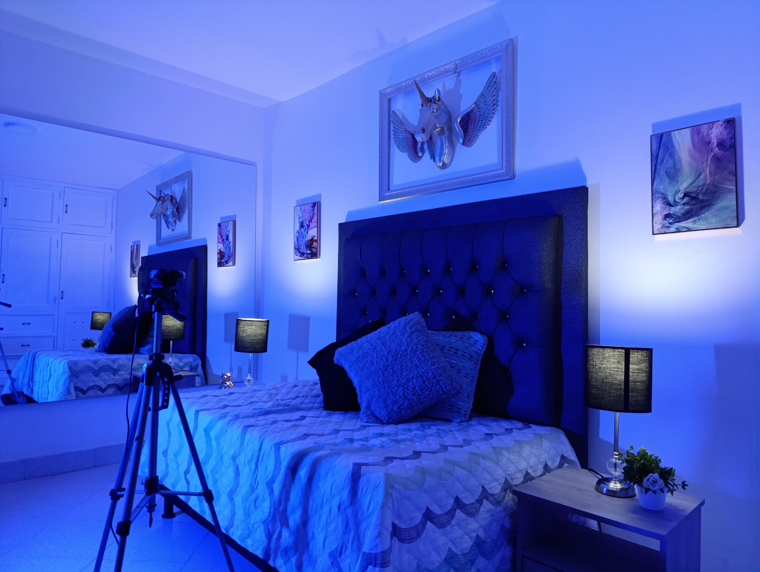 Viral Studio Sector 3 - Photo 1