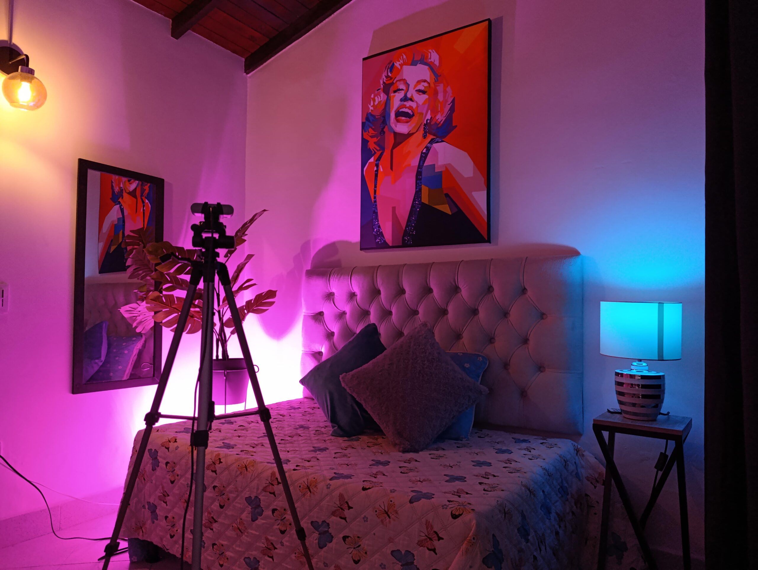 Viral Studio Sector 3 - Photo 2