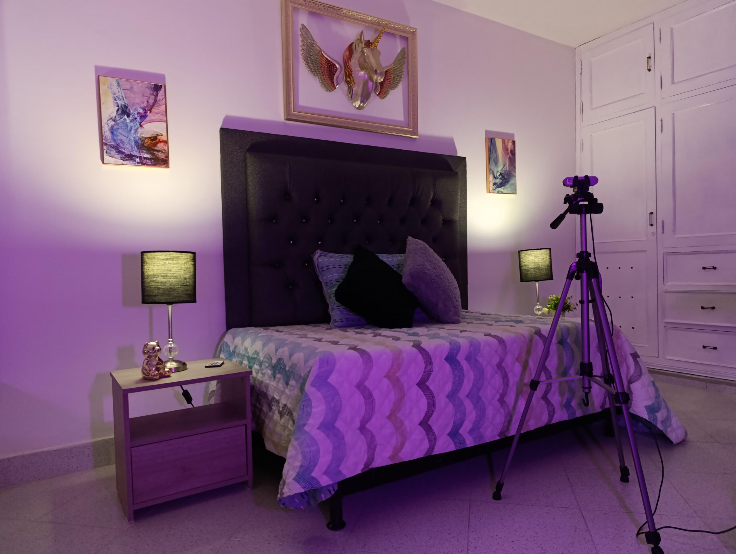 Viral Studio Sector 3 - Photo 3